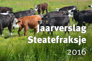 Jaarverslag Steatefraksje 2016