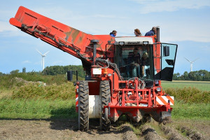 Topkwaliteit pootgoedsector bewaken