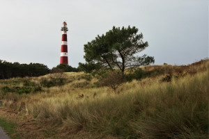 PvdA stimuleert vooruitdenken over toekomst Waddenfonds