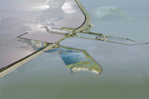 ‘Vismigratierivier bij de Afsluitdijk moet er komen’