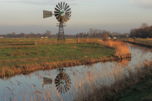 Verdroging veenweide: er moet nu wat gebeuren